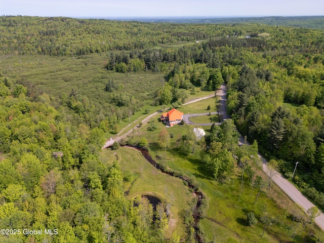 1435 Webster St, Malone, NY 12953 - aerial view of property's location with a forest