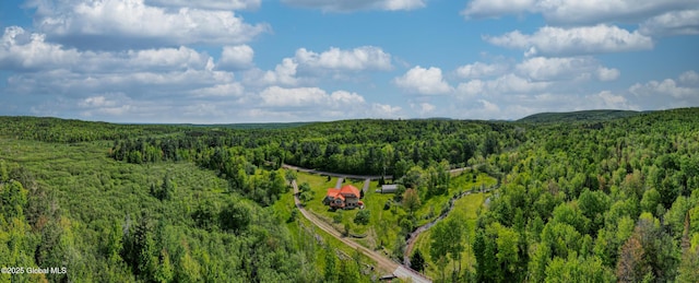 1435 Webster St, Malone, NY 12953 - bird's eye view of a forest