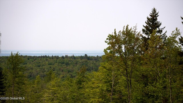 1435 Webster St, Malone, NY 12953 - photo 67