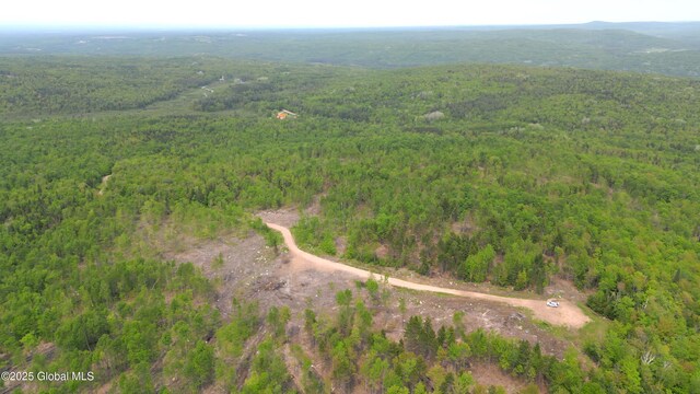 1435 Webster St, Malone, NY 12953 - photo 70