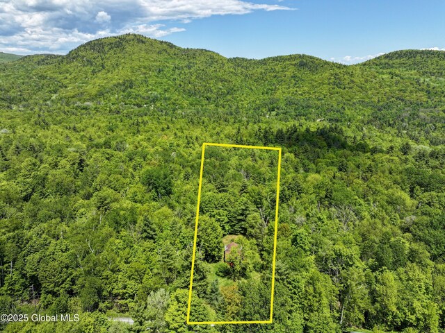 9325 Graphite Mountain Rd, Hague, NY 12836 - photo 6