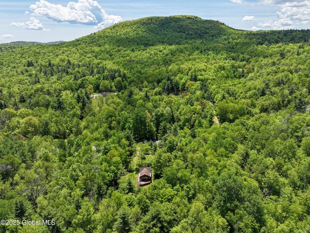 9325 Graphite Mountain Rd, Hague, NY 12836 - photo 7