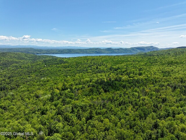 9325 Graphite Mountain Rd, Hague, NY 12836 - photo 8