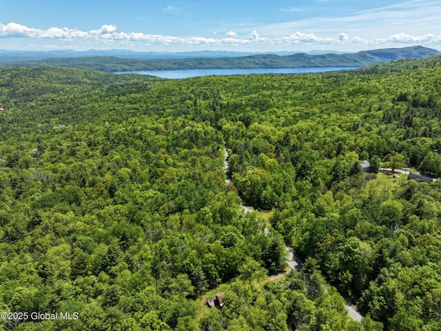 9325 Graphite Mountain Rd, Hague, NY 12836 - photo 9