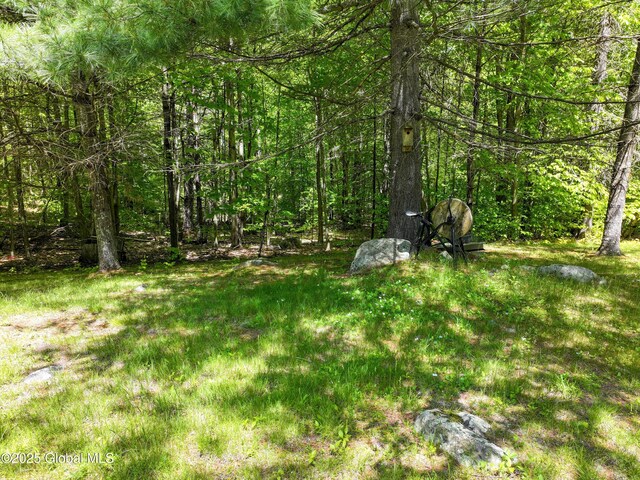 9325 Graphite Mountain Rd, Hague, NY 12836 - photo 14