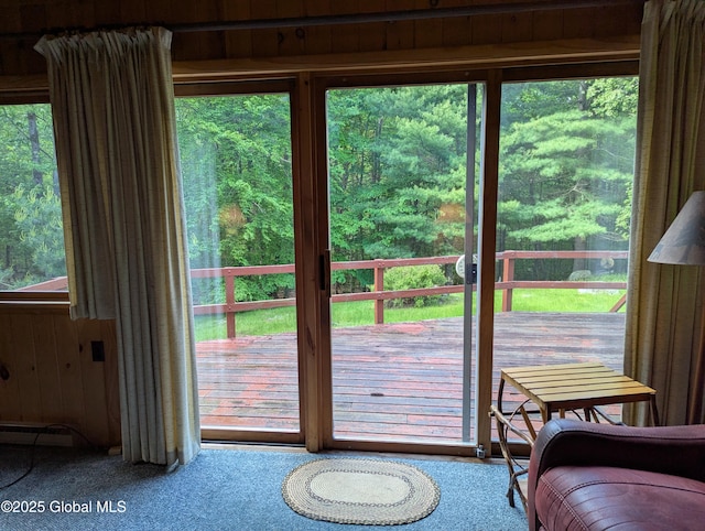 9325 Graphite Mountain Rd, Hague, NY 12836 - photo 20