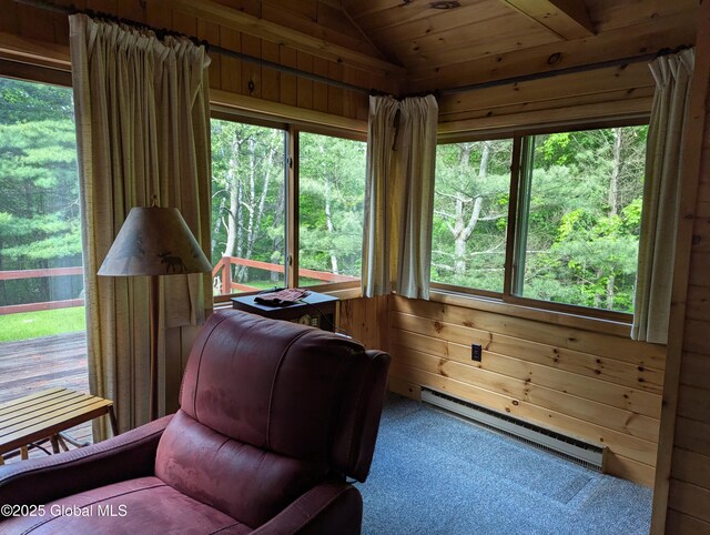 9325 Graphite Mountain Rd, Hague, NY 12836 - photo 19