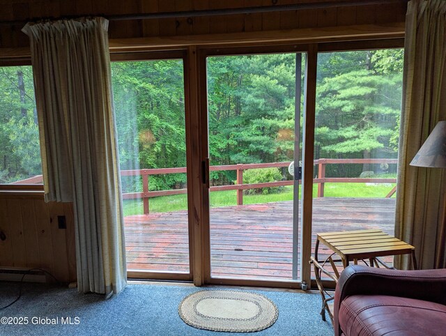 9325 Graphite Mountain Rd, Hague, NY 12836 - photo 22