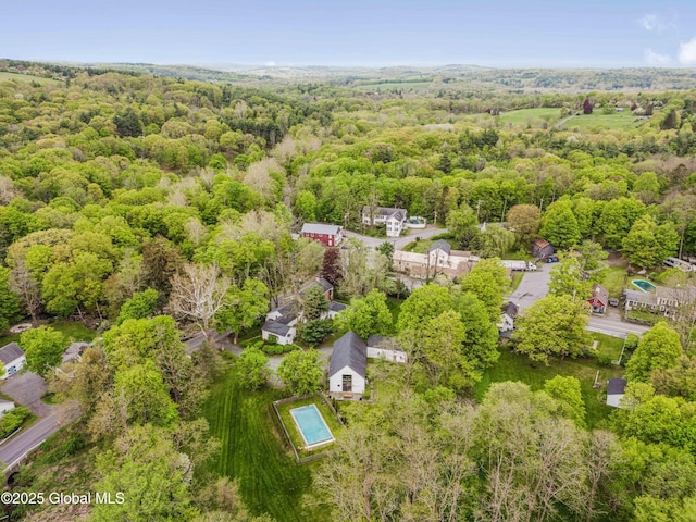 632 Albany Tpke, Chatham, NY 12136 - drone / aerial view of a forest