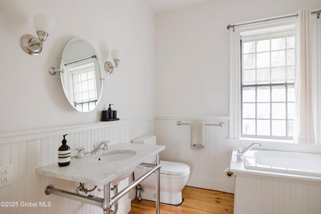 632 Albany Tpke, Chatham, NY 12136 - bathroom featuring a sink, wainscoting, healthy amount of natural light, toilet, and wood finished floors