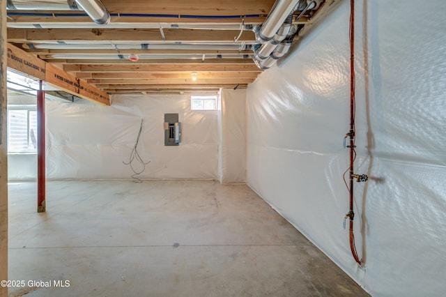 basement with electric panel