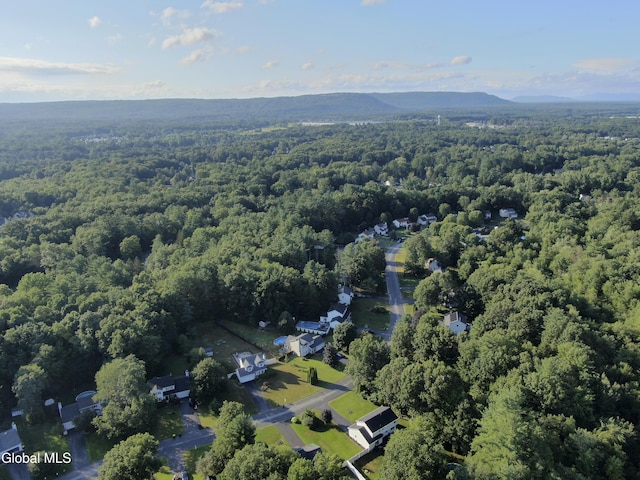 24 Fairmount Dr, Wilton, NY 12831 - photo 50