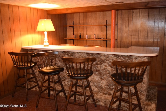 indoor dry bar featuring wooden walls