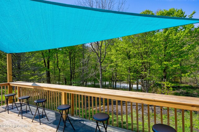 768 Rte 29, Milton, NY 12863 - photo 37