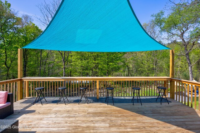 768 Rte 29, Milton, NY 12863 - photo 35