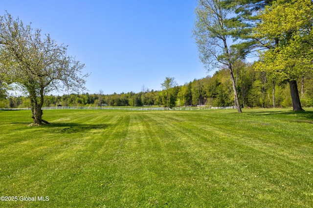 116 Medbury Rd, Greenfield, NY 12859 - view of grassy yard featuring a view of trees