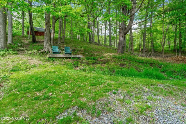 1 County Route 24, Chatham, NY 12060 - photo 45