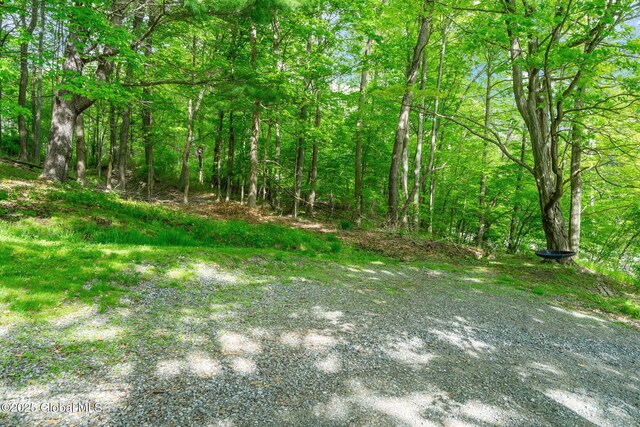 1 County Route 24, Chatham, NY 12060 - photo 31