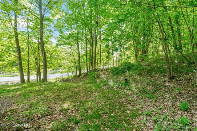 1 County Route 24, Chatham, NY 12060 - photo 32