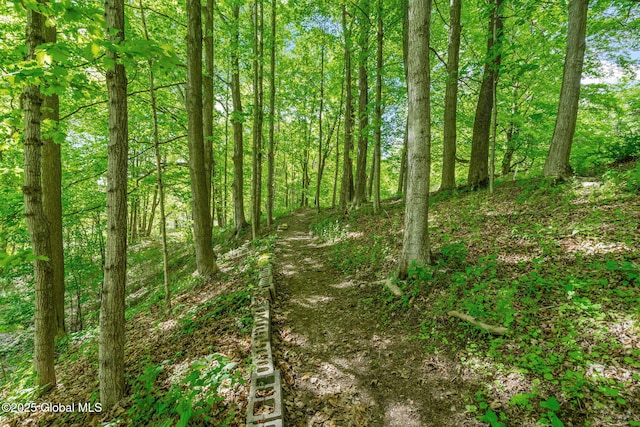 1 County Route 24, Chatham, NY 12060 - photo 38