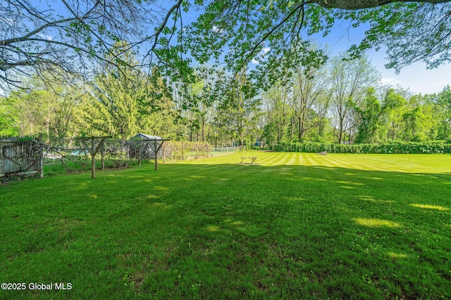 22 Center St, Fort Edward, NY 12828 - view of yard