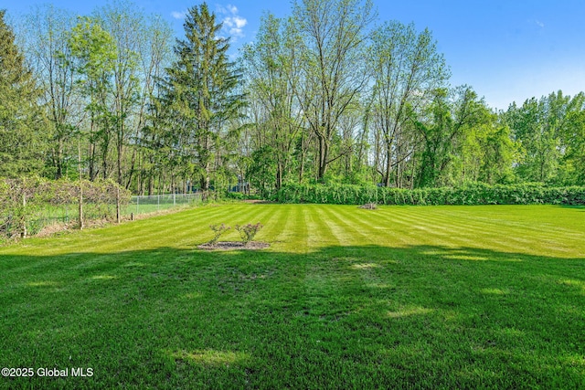 22 Center St, Fort Edward, NY 12828 - view of grassy yard