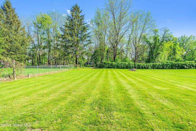 22 Center St, Fort Edward, NY 12828 - view of yard