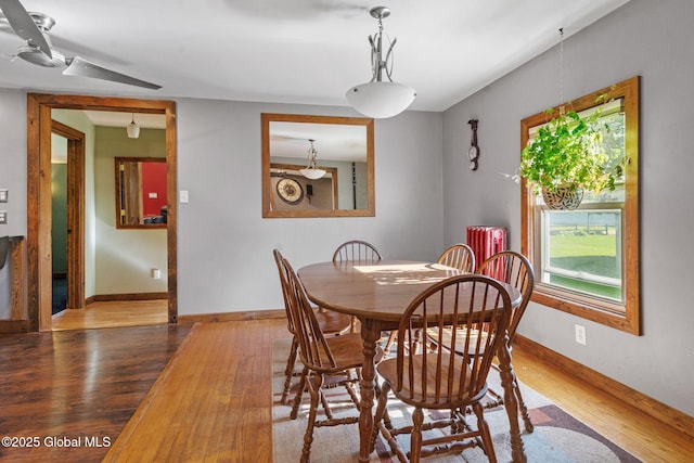 22 Center St, Fort Edward, NY 12828 - dining room featuring wood finished floors, baseboards, and ceiling fan