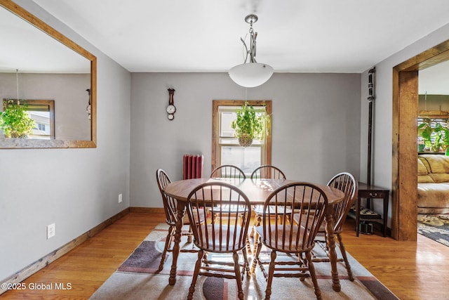 22 Center St, Fort Edward, NY 12828 - dining room with plenty of natural light, light wood-style floors, baseboards, and radiator