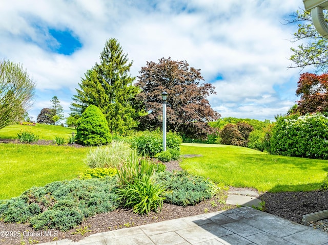 36 Greystone Dr, Guilderland, NY 12186 - view of green lawn