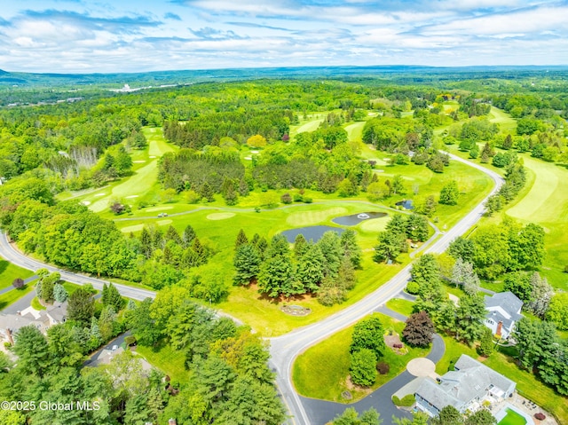 36 Greystone Dr, Guilderland, NY 12186 - bird's eye view of a forest, a local golf course, and a nearby body of water