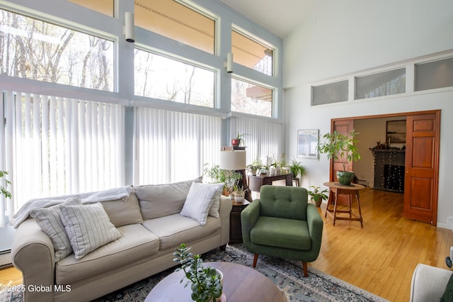 living room featuring wood finished floors and a high ceiling