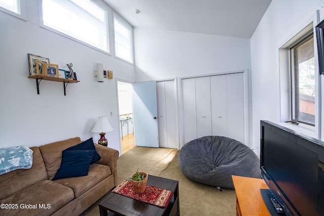 carpeted living area featuring a towering ceiling