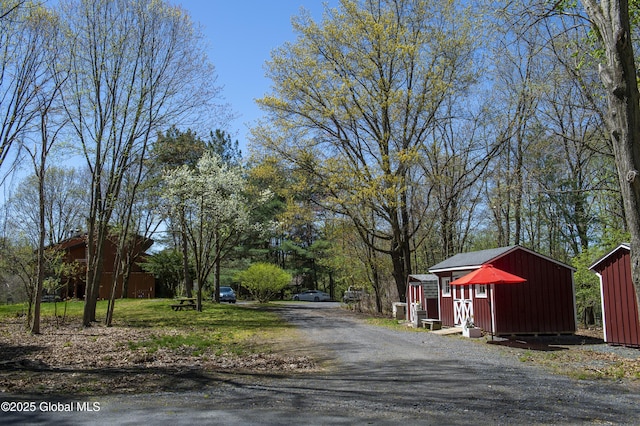 view of dirt / gravel driveway