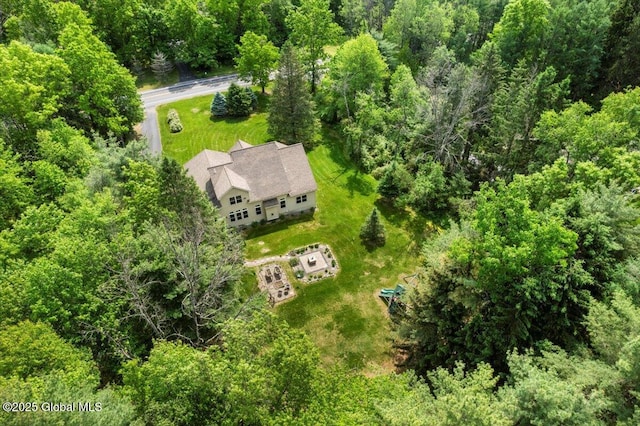 264 Edie Rd, Wilton, NY 12866 - view from above of property