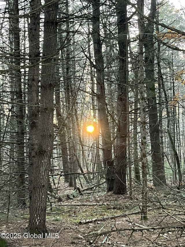 264 Edie Rd, Wilton, NY 12866 - view of undeveloped land