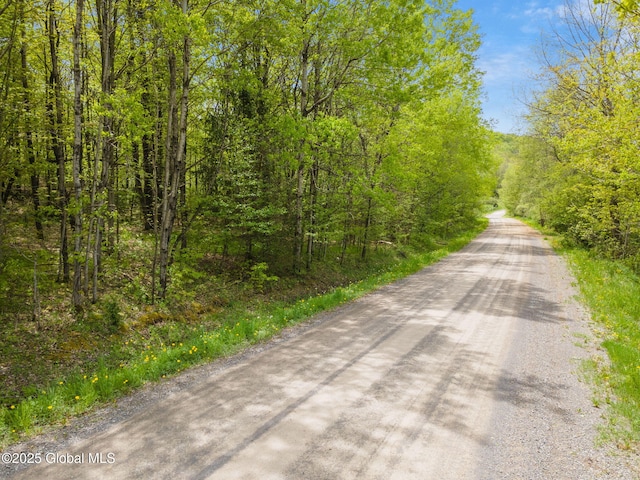 L11 Sternberg Rd, Jefferson, NY 12167