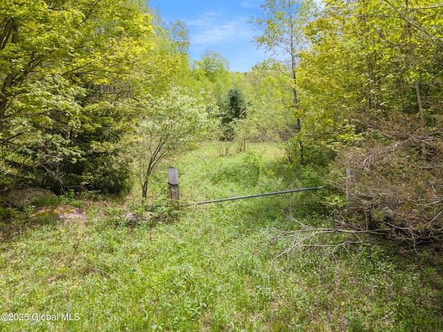 L11 Sternberg Rd, Jefferson, NY 12167