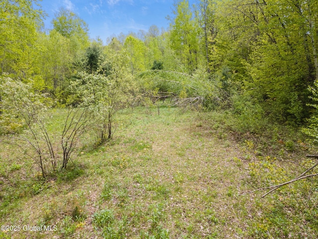L11 Sternberg Rd, Jefferson, NY 12167