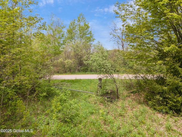 L11 Sternberg Rd, Jefferson, NY 12167