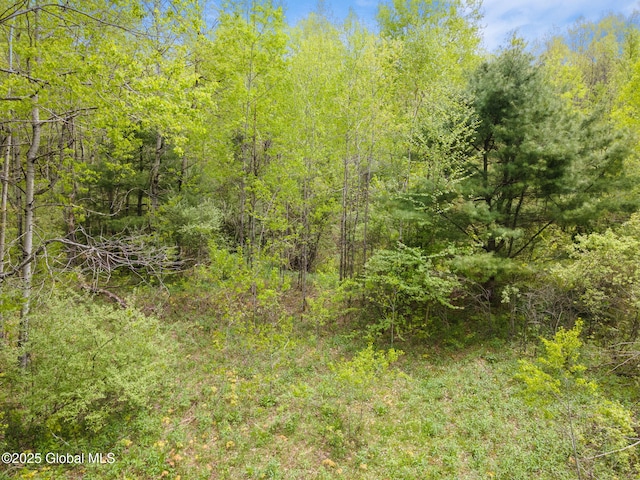L11 Sternberg Rd, Jefferson, NY 12167