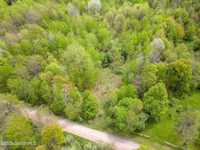 L11 Sternberg Rd, Jefferson, NY 12167