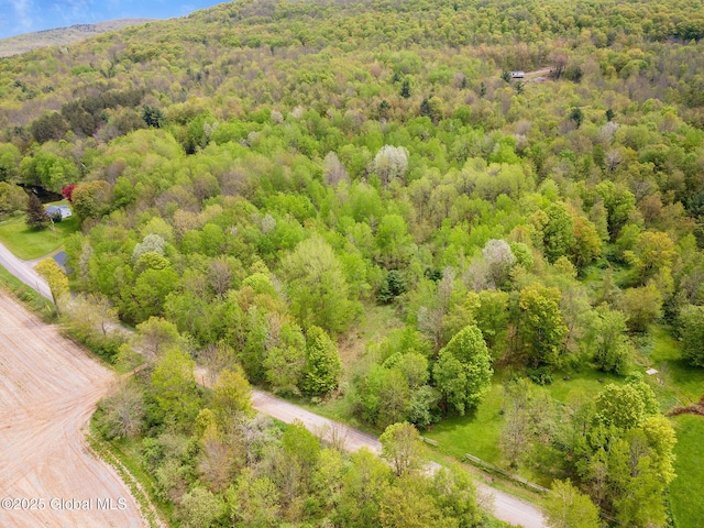 L11 Sternberg Rd, Jefferson, NY 12167