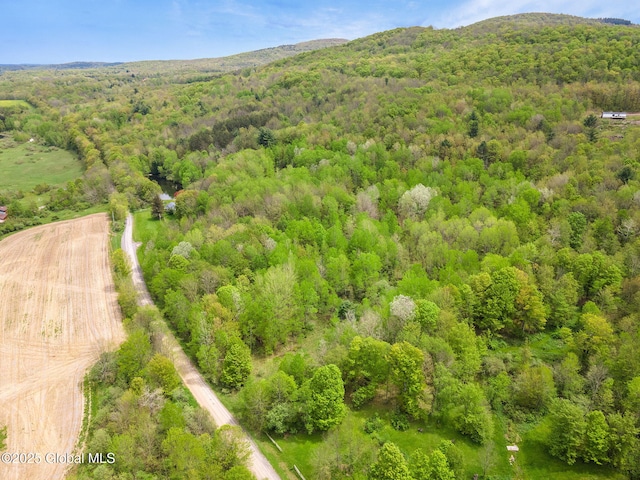 L11 Sternberg Rd, Jefferson, NY 12167