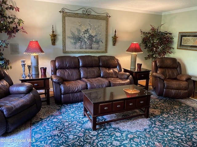 6 Bishops Ct, Queensbury, NY 12804 - carpeted living room with ornamental molding