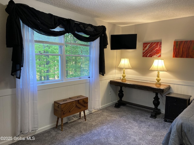 6 Bishops Ct, Queensbury, NY 12804 - bedroom with a textured ceiling, carpet, and a wainscoted wall
