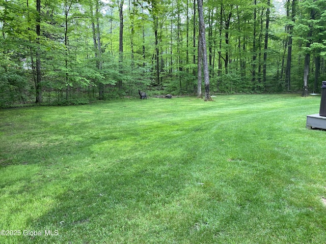 6 Bishops Ct, Queensbury, NY 12804 - view of green lawn with a wooded view
