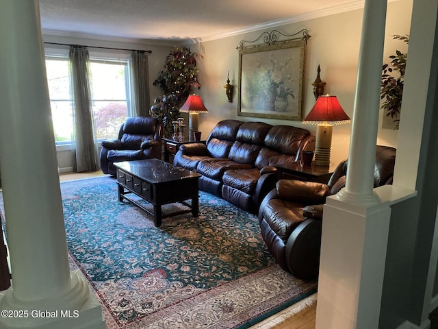 6 Bishops Ct, Queensbury, NY 12804 - living area featuring decorative columns, crown molding, and wood finished floors