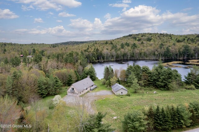 324 County Highway 112, Bleecker, NY 12078 - view of subject property featuring a heavily wooded area and a large body of water