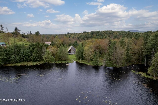324 County Highway 112, Bleecker, NY 12078 - water view with a forest